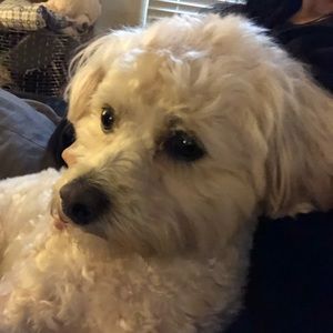 Meet your Posher, Eunah